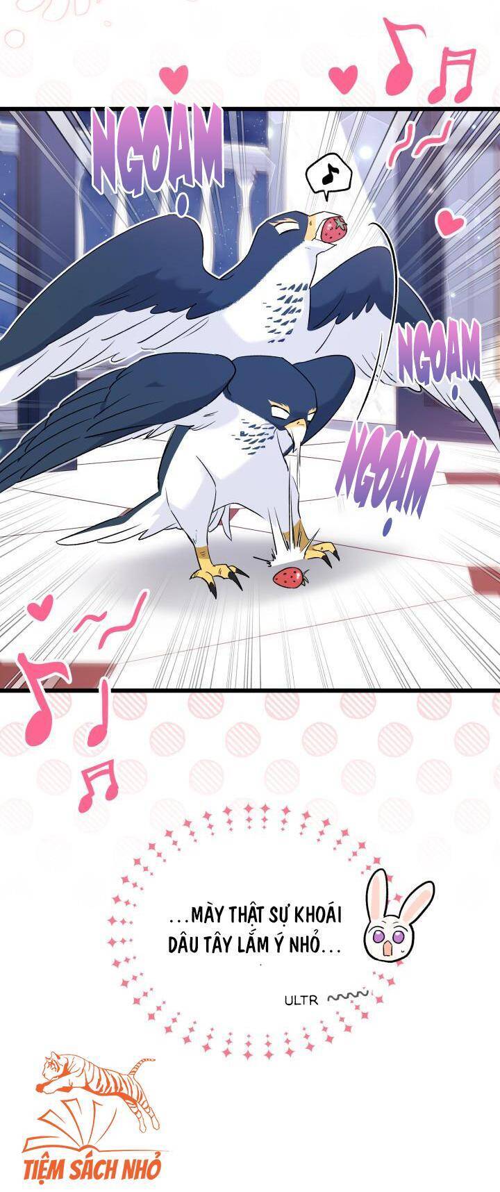 Mối Quan Hệ Cộng Sinh Giữa Báo Đen Và Thỏ Trắng Chap 57 - Next Chap 58