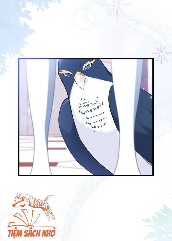 Mối Quan Hệ Cộng Sinh Giữa Báo Đen Và Thỏ Trắng Chap 57 - Next Chap 58