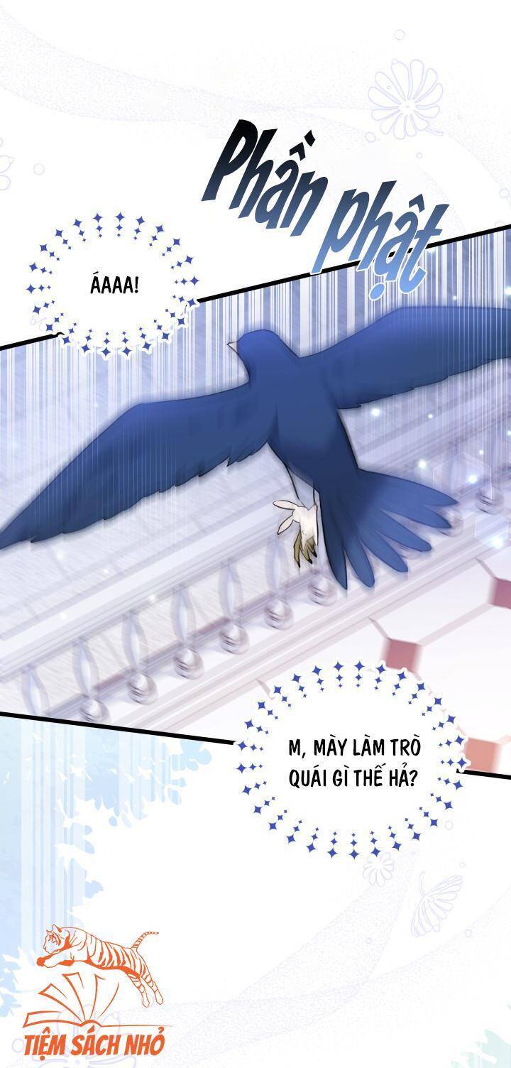 Mối Quan Hệ Cộng Sinh Giữa Báo Đen Và Thỏ Trắng Chap 57 - Next Chap 58