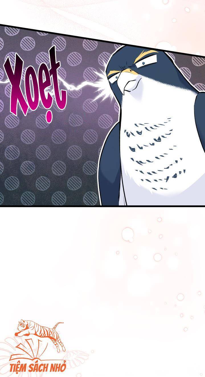 Mối Quan Hệ Cộng Sinh Giữa Báo Đen Và Thỏ Trắng Chap 57 - Next Chap 58