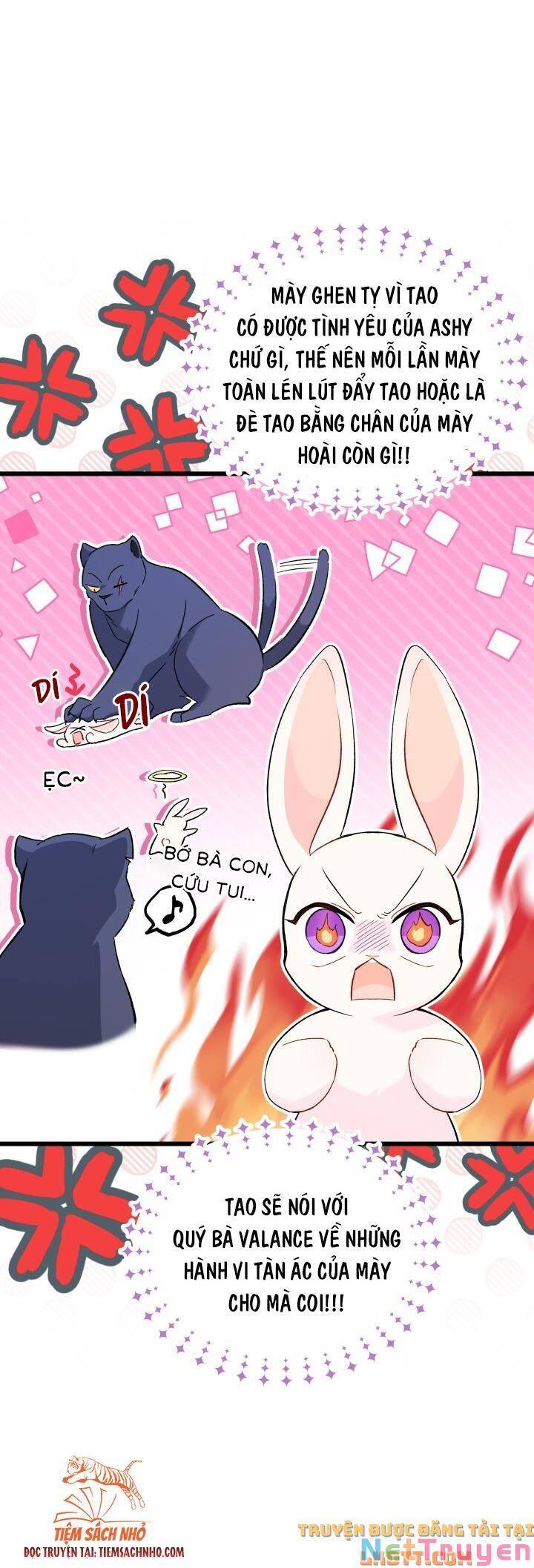 Mối Quan Hệ Cộng Sinh Giữa Báo Đen Và Thỏ Trắng Chap 58 - Next Chap 59