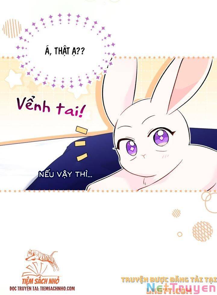 Mối Quan Hệ Cộng Sinh Giữa Báo Đen Và Thỏ Trắng Chap 58 - Next Chap 59