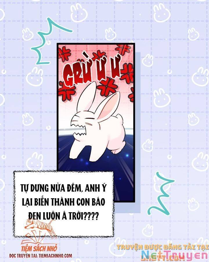 Mối Quan Hệ Cộng Sinh Giữa Báo Đen Và Thỏ Trắng Chap 58 - Next Chap 59
