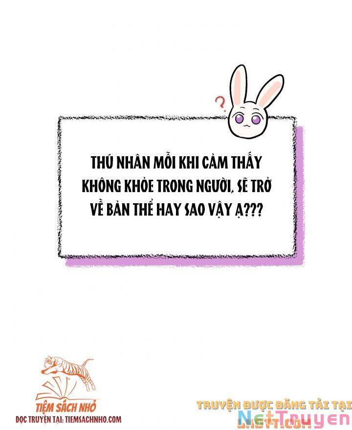 Mối Quan Hệ Cộng Sinh Giữa Báo Đen Và Thỏ Trắng Chap 58 - Next Chap 59