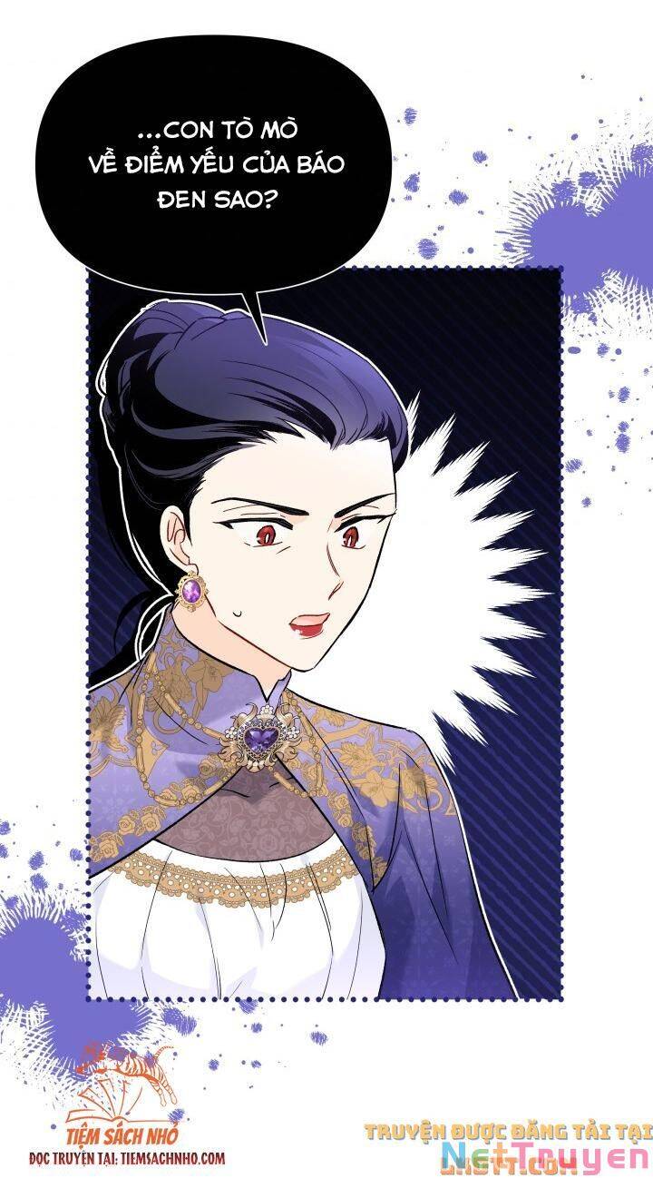 Mối Quan Hệ Cộng Sinh Giữa Báo Đen Và Thỏ Trắng Chap 58 - Next Chap 59