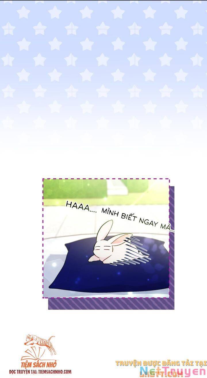 Mối Quan Hệ Cộng Sinh Giữa Báo Đen Và Thỏ Trắng Chap 58 - Next Chap 59