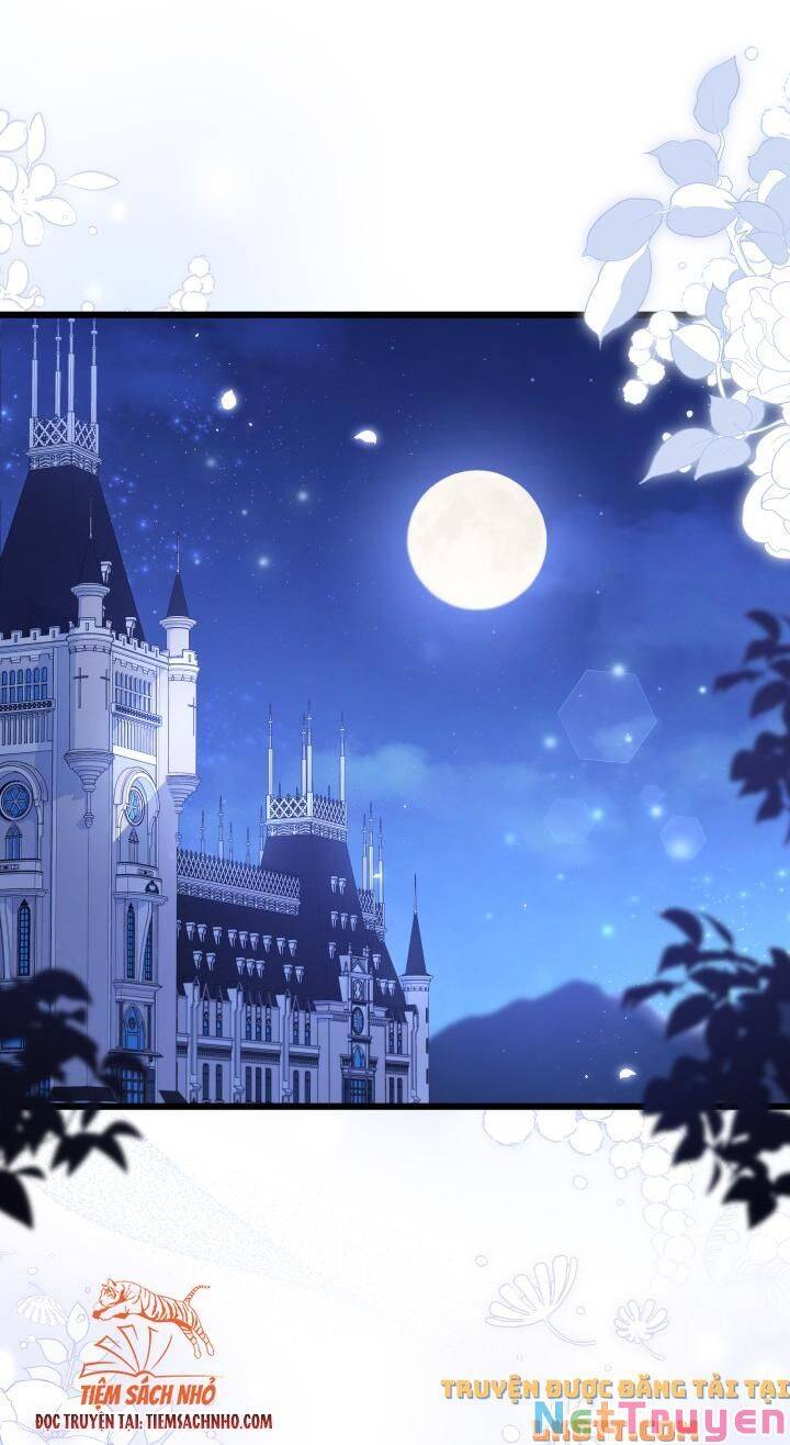 Mối Quan Hệ Cộng Sinh Giữa Báo Đen Và Thỏ Trắng Chap 58 - Next Chap 59