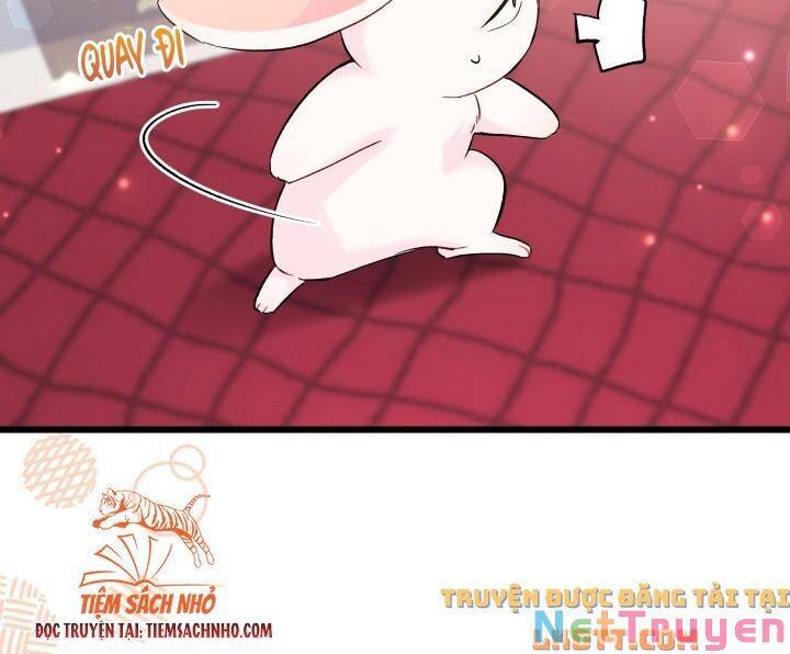 Mối Quan Hệ Cộng Sinh Giữa Báo Đen Và Thỏ Trắng Chap 58 - Next Chap 59