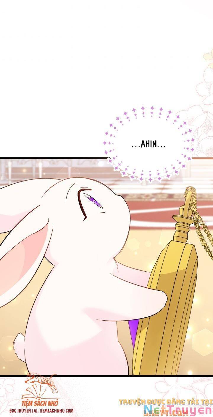 Mối Quan Hệ Cộng Sinh Giữa Báo Đen Và Thỏ Trắng Chap 58 - Next Chap 59