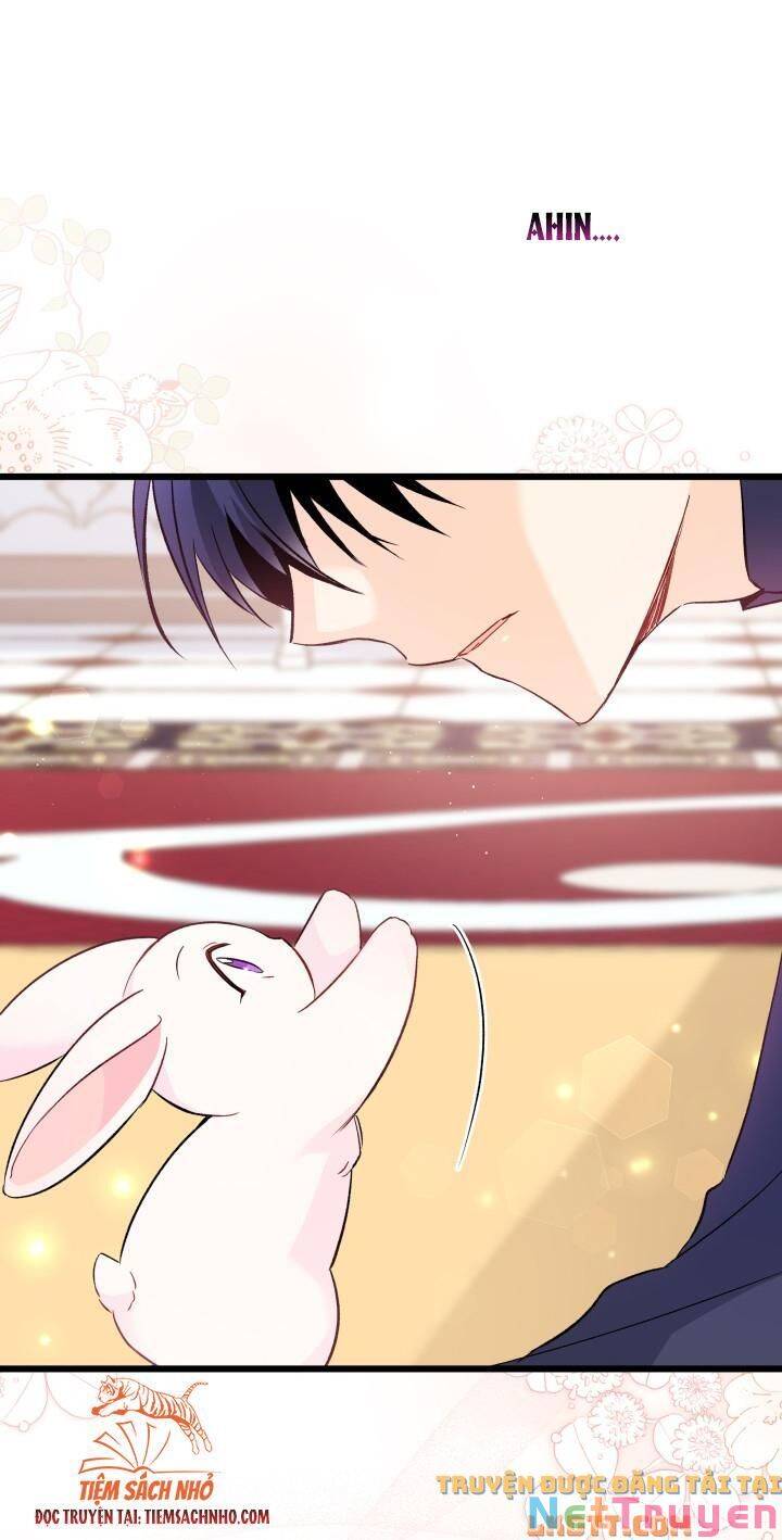 Mối Quan Hệ Cộng Sinh Giữa Báo Đen Và Thỏ Trắng Chap 58 - Next Chap 59