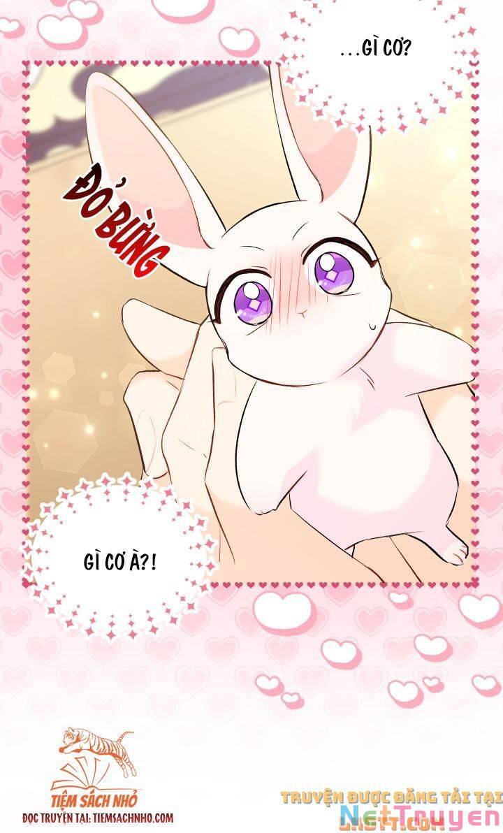 Mối Quan Hệ Cộng Sinh Giữa Báo Đen Và Thỏ Trắng Chap 58 - Next Chap 59