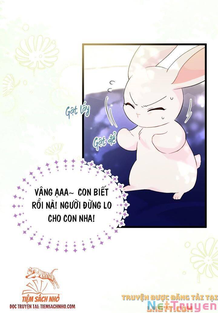 Mối Quan Hệ Cộng Sinh Giữa Báo Đen Và Thỏ Trắng Chap 58 - Next Chap 59