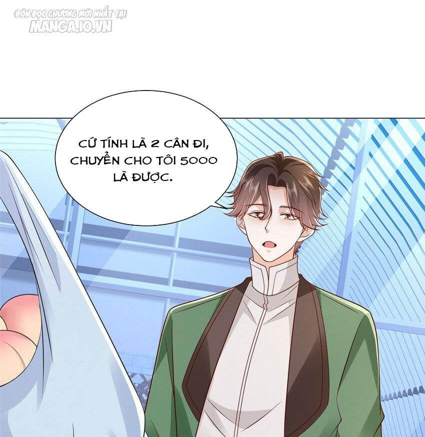 Mỗi Tuần Ta Có Một Nghề Nghiệp Mới Chap 522 - Next Chap 523