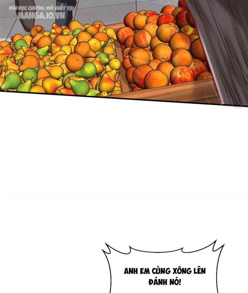 Mỗi Tuần Ta Có Một Nghề Nghiệp Mới Chap 546 - Next Chap 547
