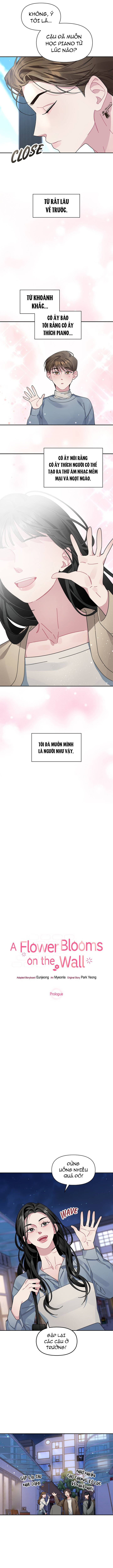 Một Bông Hoa Nở Trên Tường Chap 1 - Next Chap 2