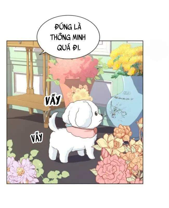 Một Đêm Với Hoàng Đế Chap 31 - Next Chap 32