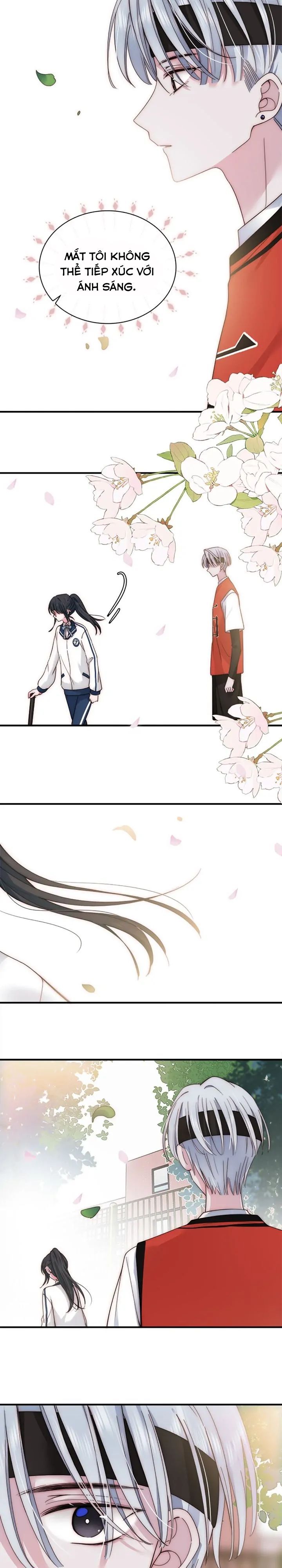 Một Lòng Cưng Chiều Chap 8 - Next Chap 9