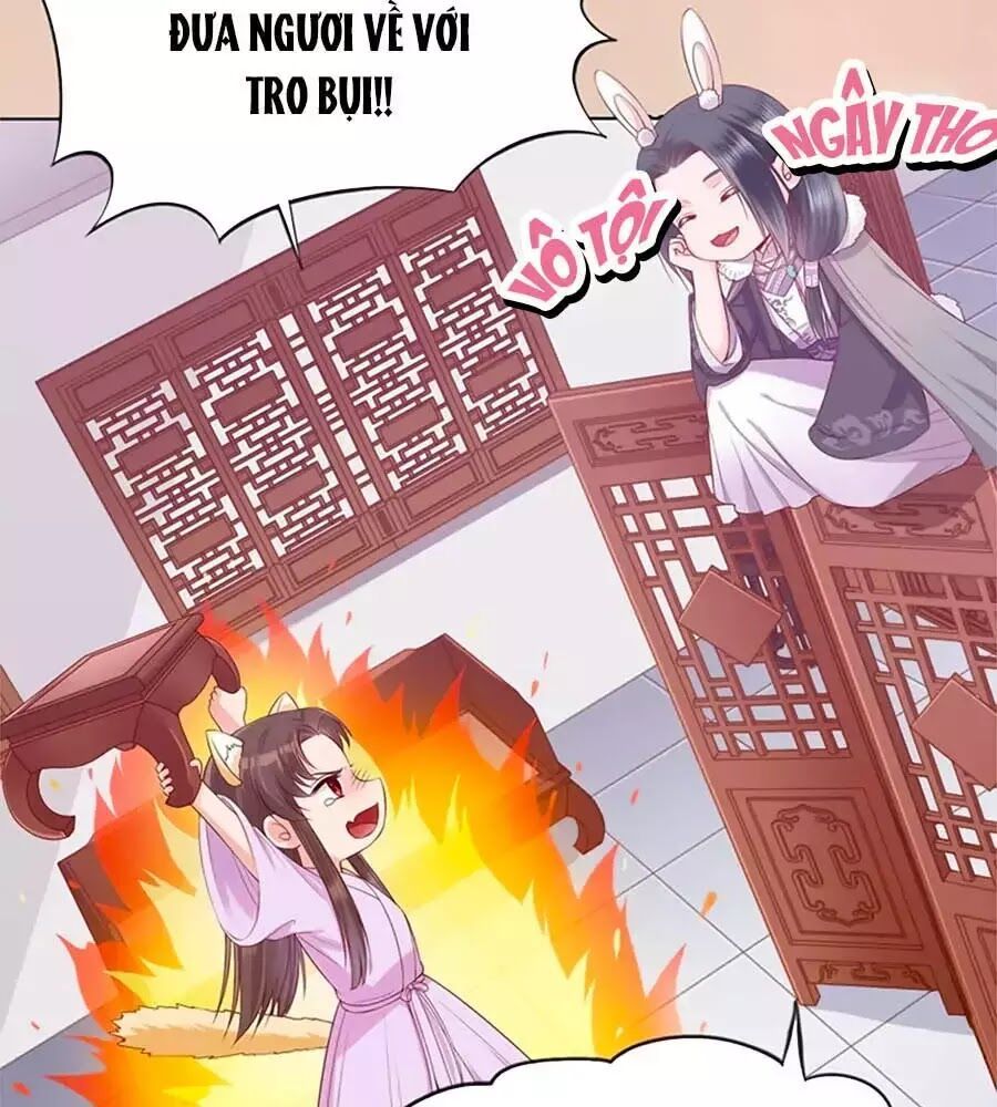 Mỹ Nhân Già Rồi Chap 36 - Next Chap 37