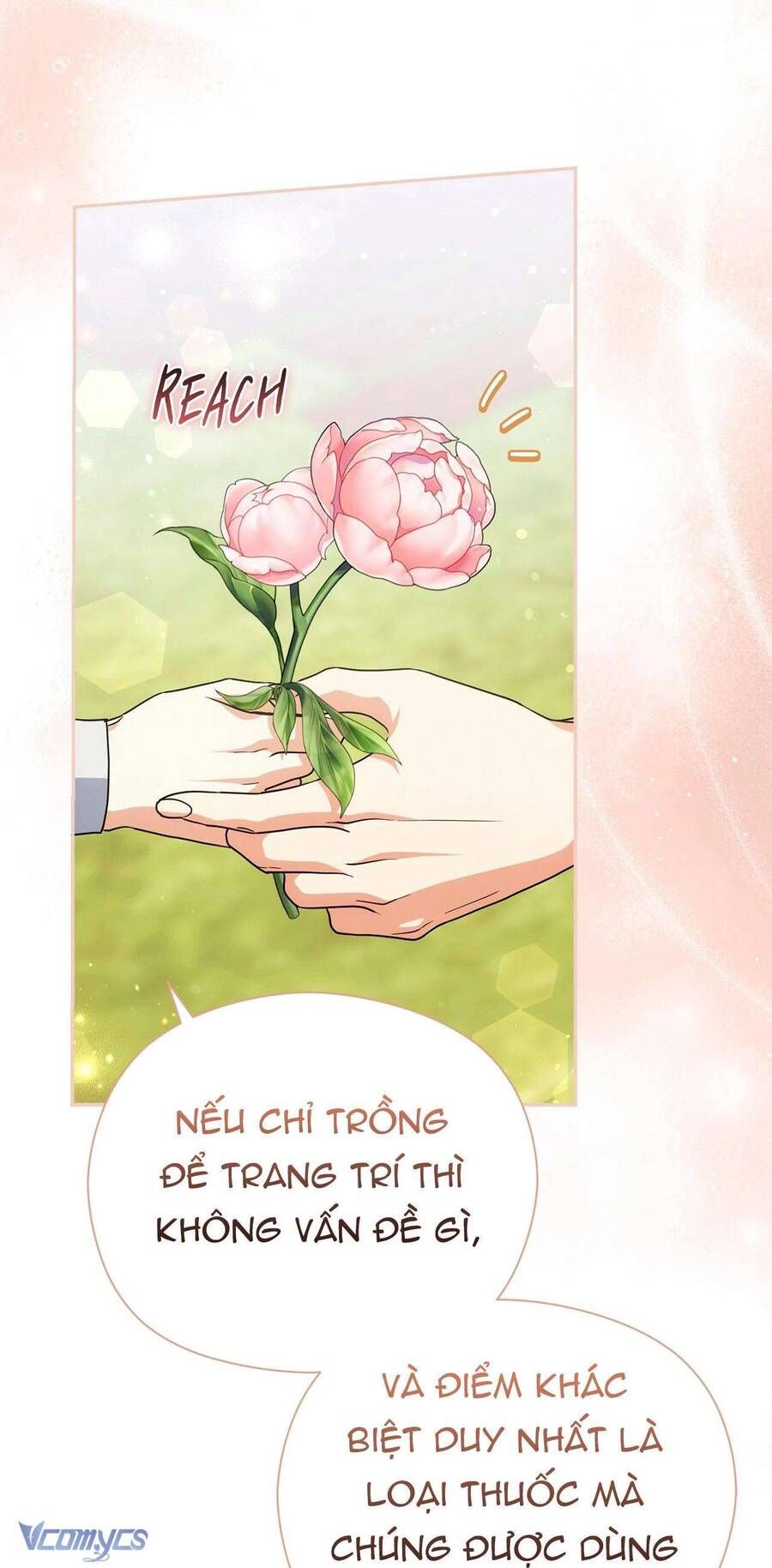 Nàng Công Chúa Trong Chuồng Gà Chap 44 - Next Chap 45