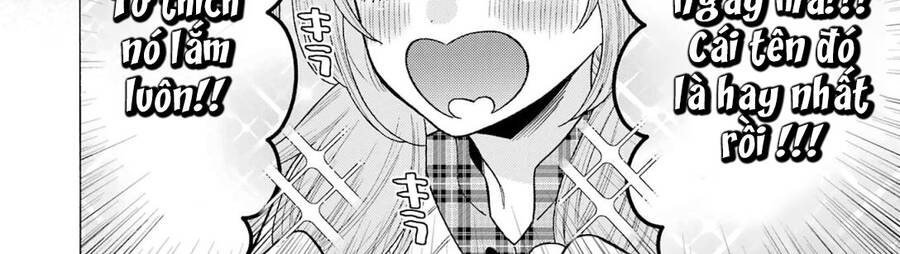 Nàng Nổi Loạn X Chàng Thợ May Chap 76 - Next Chap 77