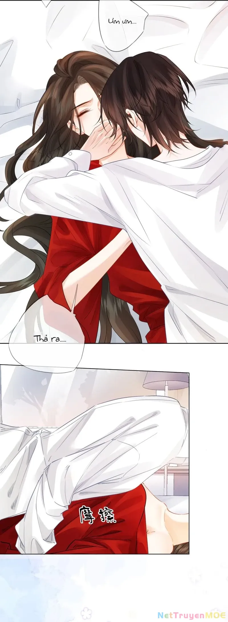 Nàng Pháp Y Thân Yêu Của Tôi Chap 81 - Next Chap 82