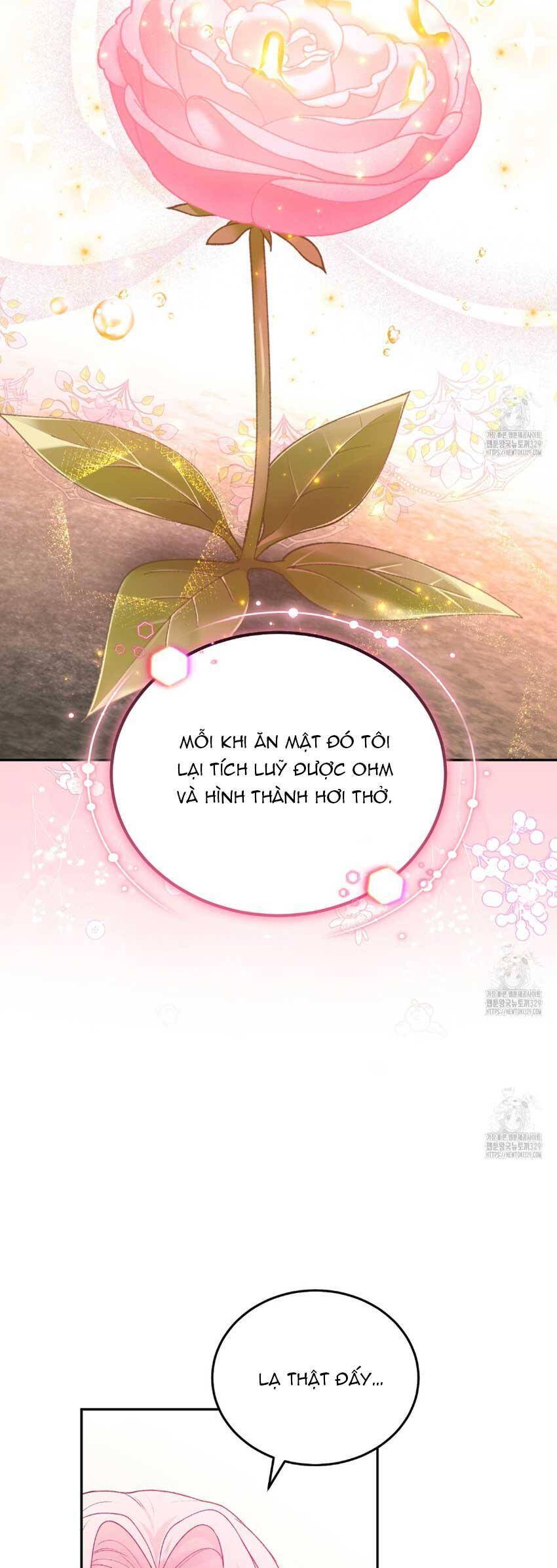 Nàng Tiên, Hãy Ký Hợp Đồng Nào Chap 28 - Next Chap 29