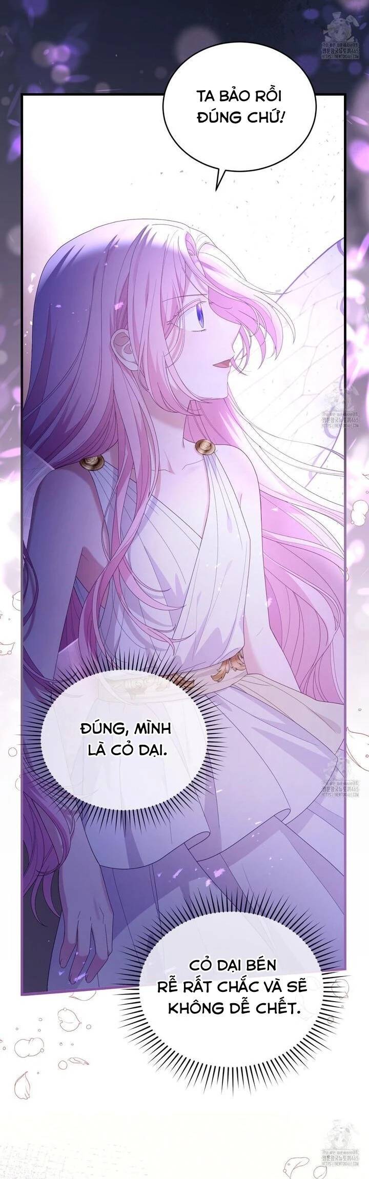 Nàng Tiên, Hãy Ký Hợp Đồng Nào Chap 42 - Next Chap 43