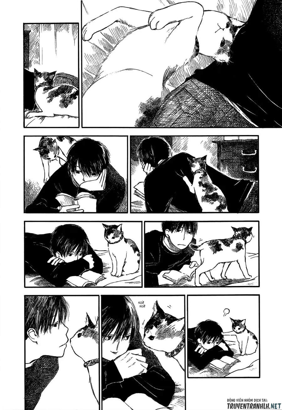 Natsu No Zenjitsu Chap 185 - Next Chap 186