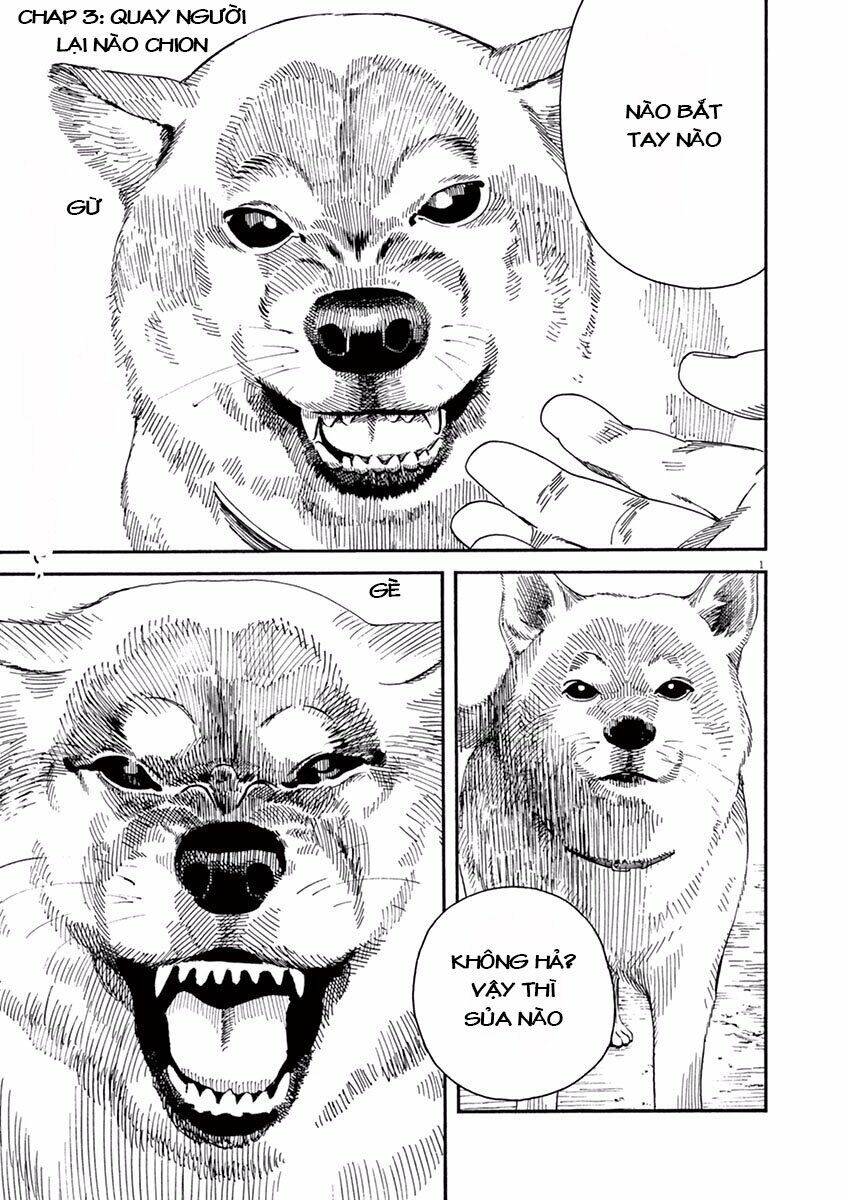 Neko No Otera No Chion-San Chap 3 - Next Chap 4