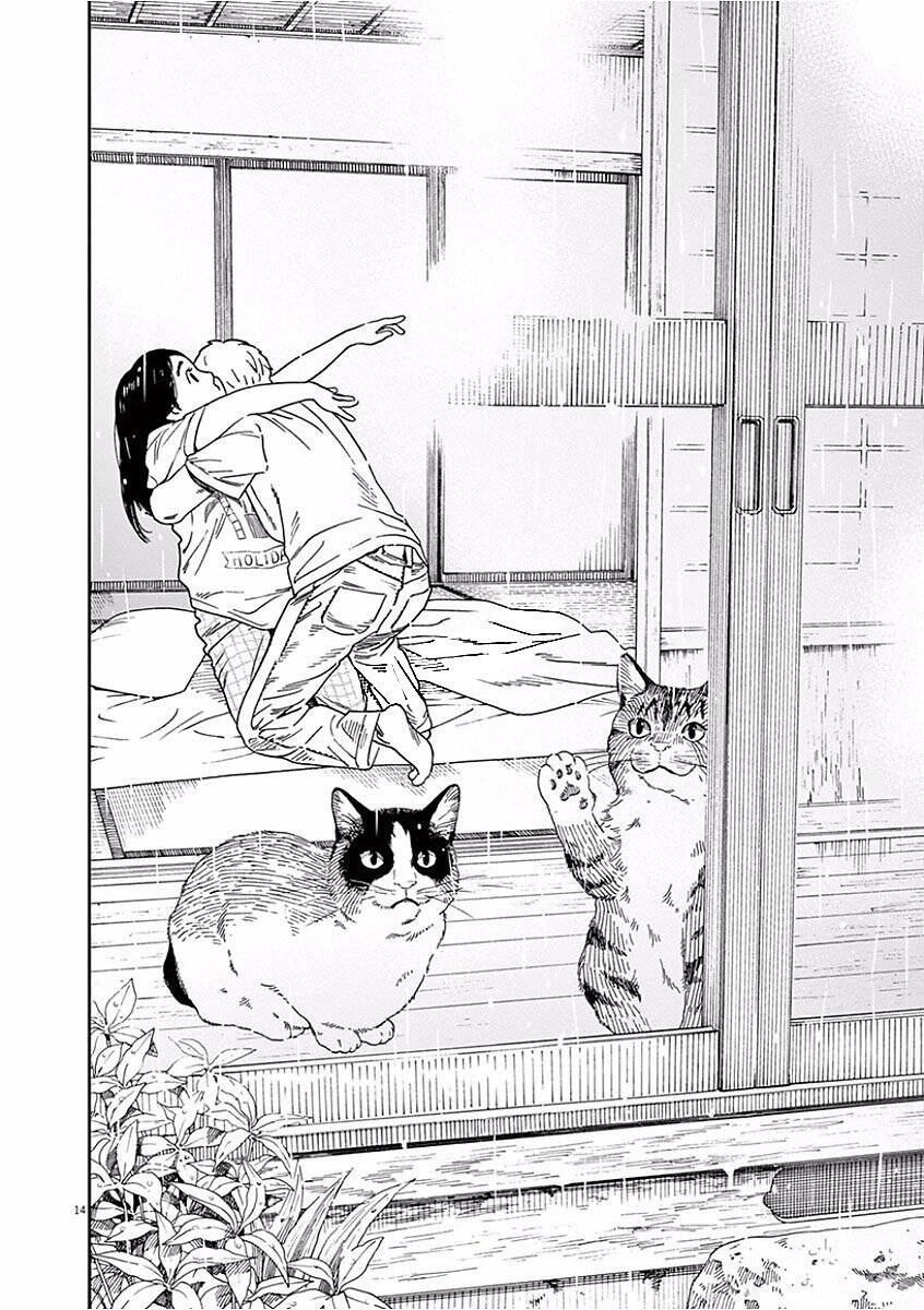 Neko No Otera No Chion-San Chap 43 - Next Chap 44