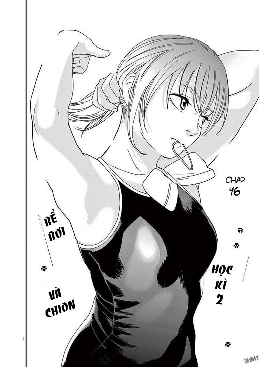 Neko No Otera No Chion-San Chap 46 - Next Chap 47