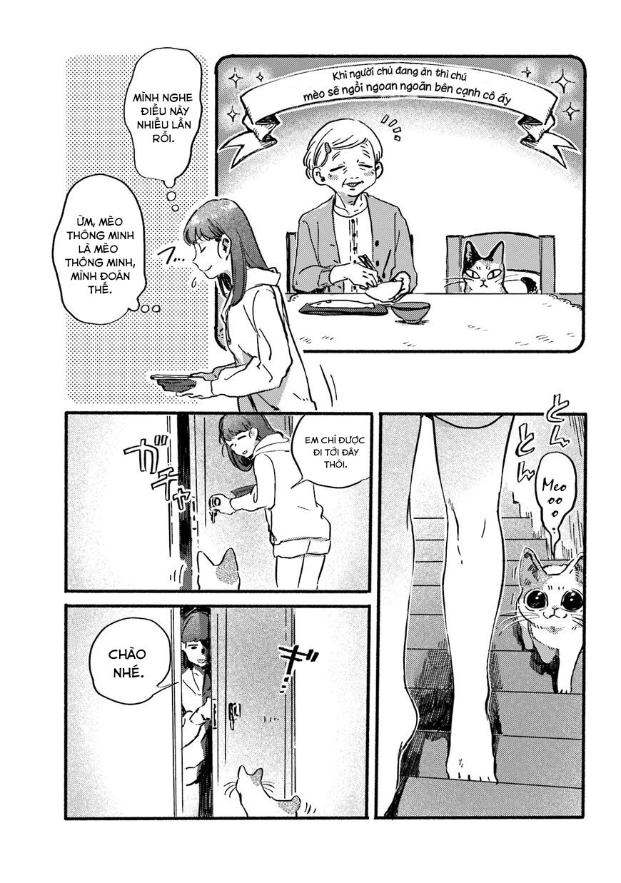 Nekodamari Chap 13 - Next Chap 14