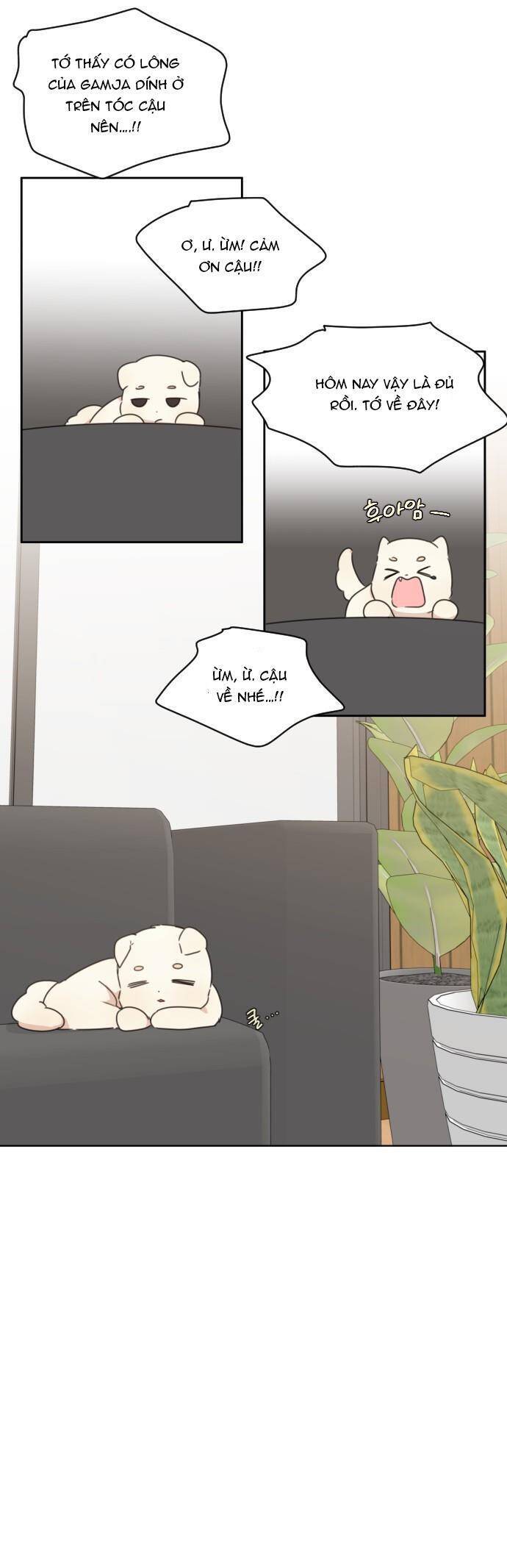 Ngắm Nhìn Điều Tuyệt Vời Nhất Chap 31 - Next Chap 32
