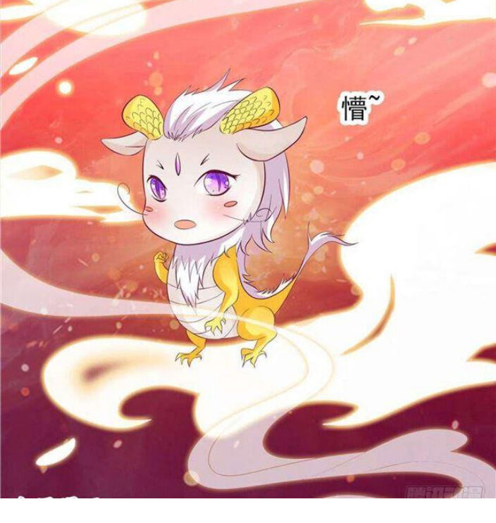 Nghịch Thiên Độc Y: Long Tôn Cầu Buông Ra Chap 5 - Next Chap 6
