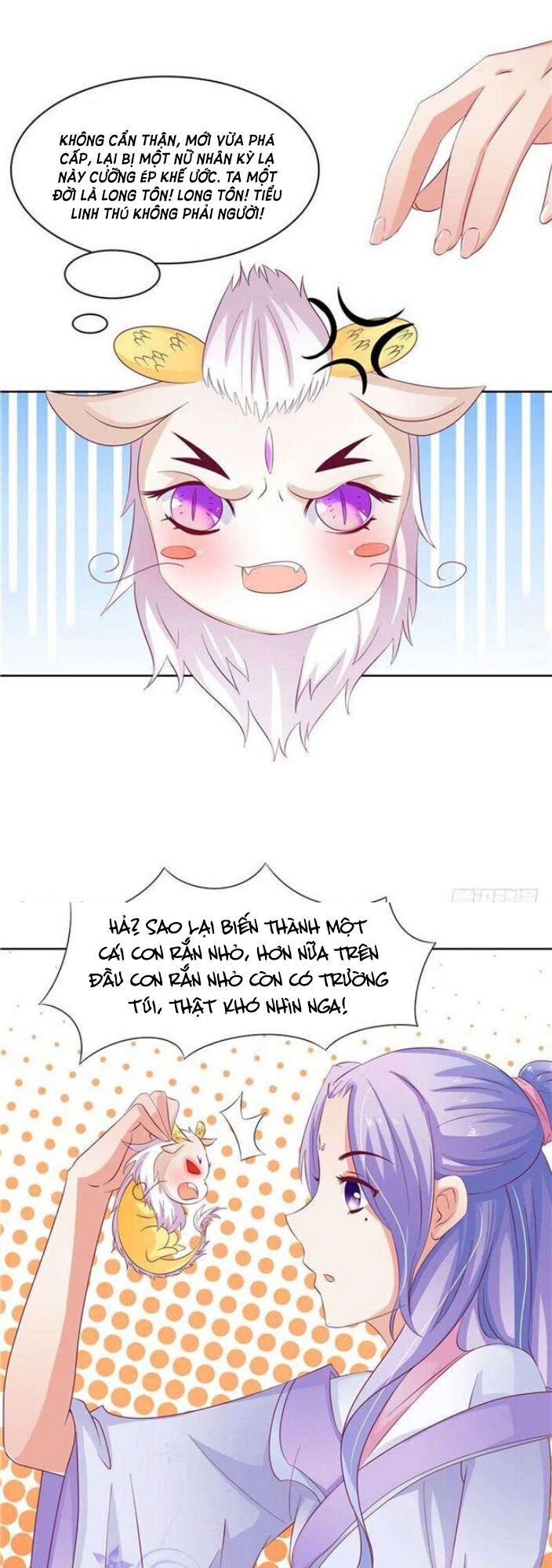 Nghịch Thiên Độc Y: Long Tôn Cầu Buông Ra Chap 5 - Next Chap 6