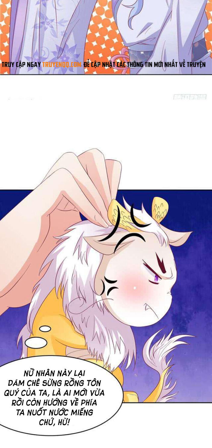 Nghịch Thiên Độc Y: Long Tôn Cầu Buông Ra Chap 5 - Next Chap 6