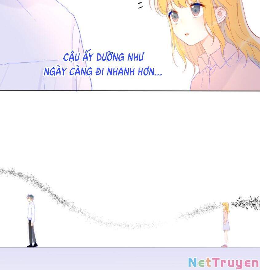 Ngôi Sao Cho Tôi Chap 47 - Next Chap 48