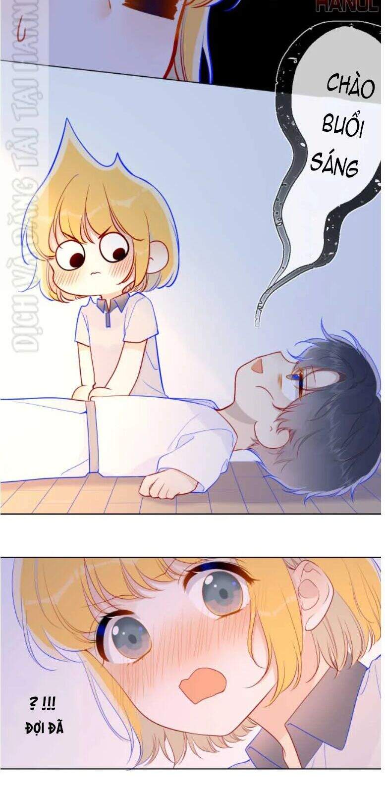 Ngôi Sao Cho Tôi Chap 67 - Next Chap 68