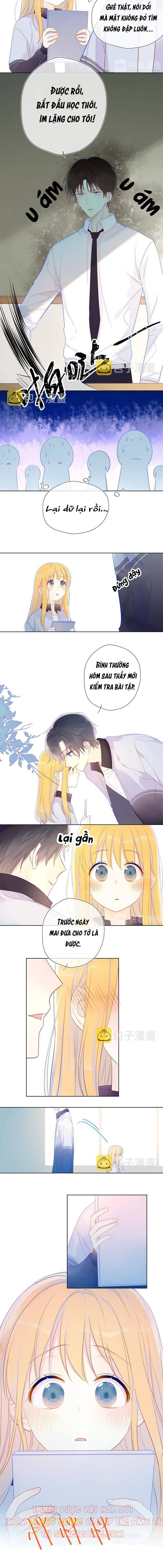 Ngôi Sao Dành Cho Tôi Chap 12 - Next Chap 13