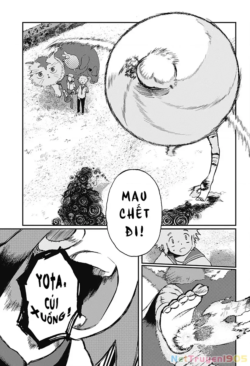 Ngôi Sao Tương Giao Chap 9 - Next Chap 10
