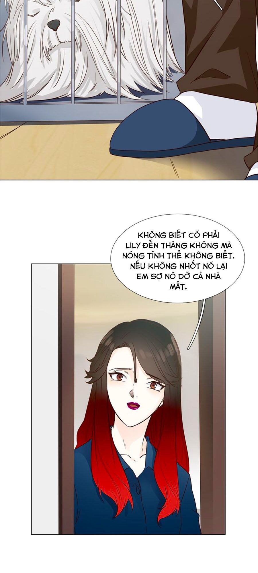 Ngôi Sao Vụn Vỡ Chap 51 - Next Chap 52