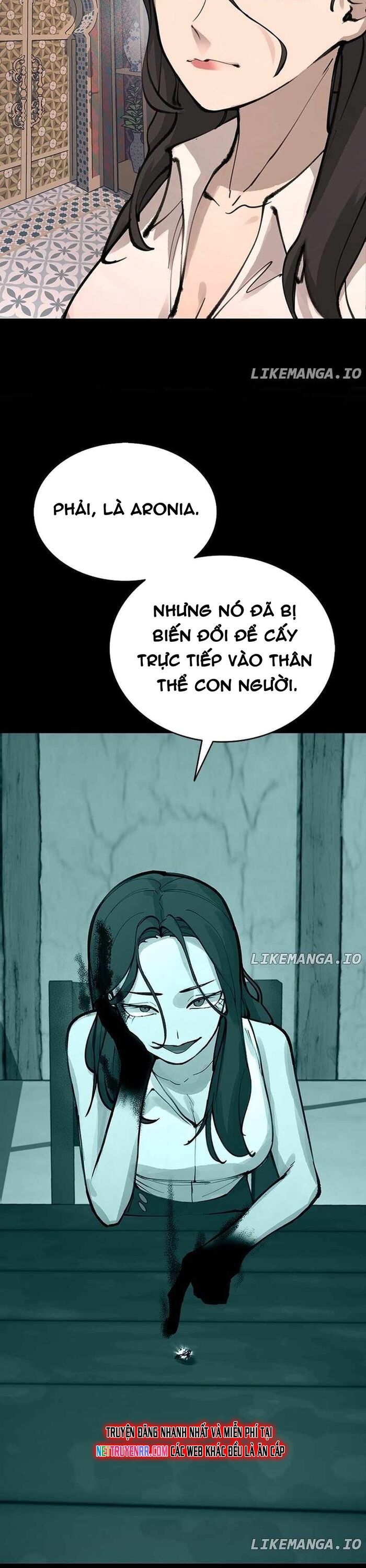 Ngọn Lửa Của Hòa Bình Chap 41 - Next Chap 42