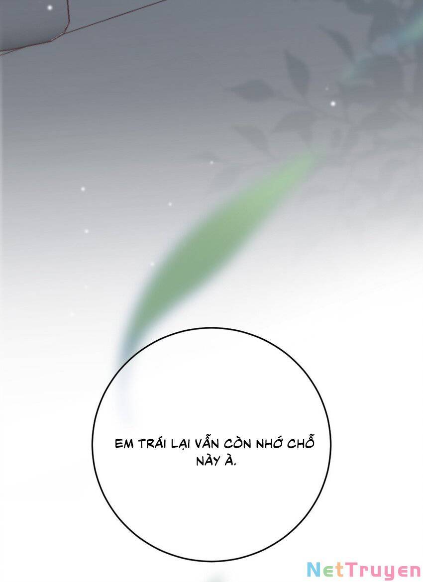 Ngôn Tiếu Loan Loan Chap 8 - Next Chap 9