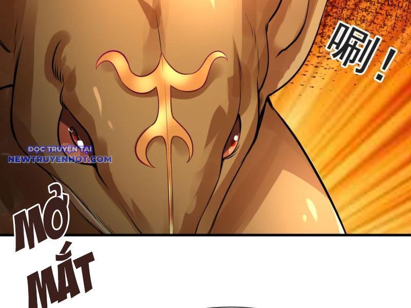 Ngủ Say Vạn Cổ: Xuất Thế Quét Ngang Chư Thiên Chap 11 - Next Chap 12