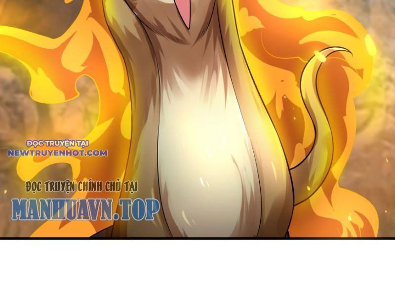 Ngủ Say Vạn Cổ: Xuất Thế Quét Ngang Chư Thiên Chap 11 - Next Chap 12