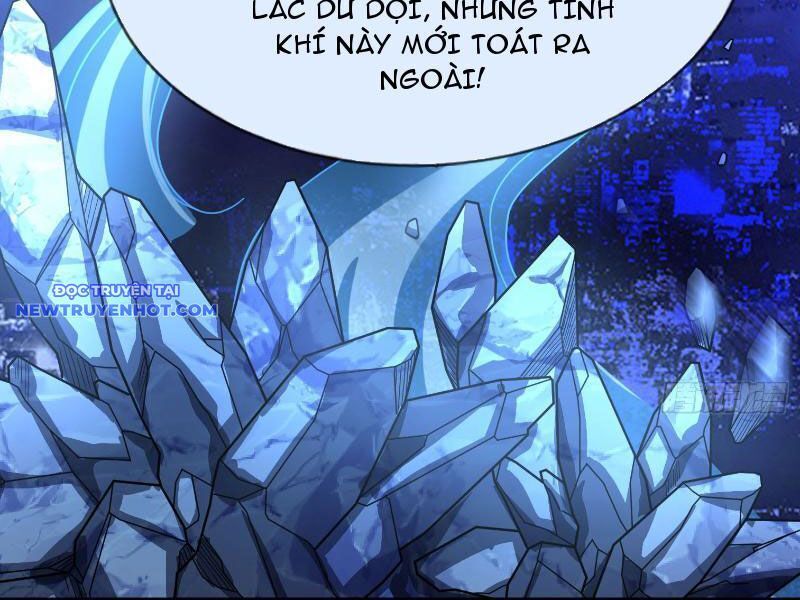 Ngủ Say Vạn Cổ: Xuất Thế Quét Ngang Chư Thiên Chap 11 - Next Chap 12