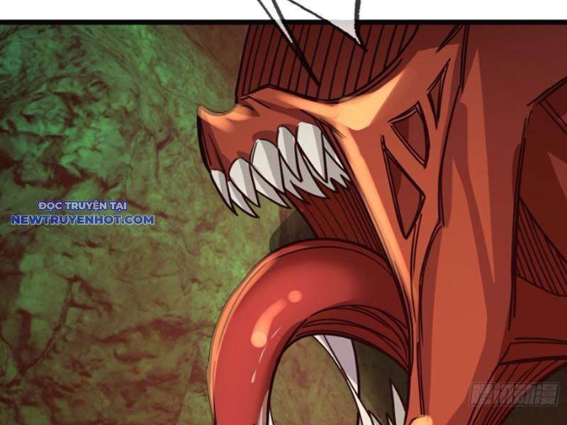 Ngủ Say Vạn Cổ: Xuất Thế Quét Ngang Chư Thiên Chap 5 - Next Chap 6