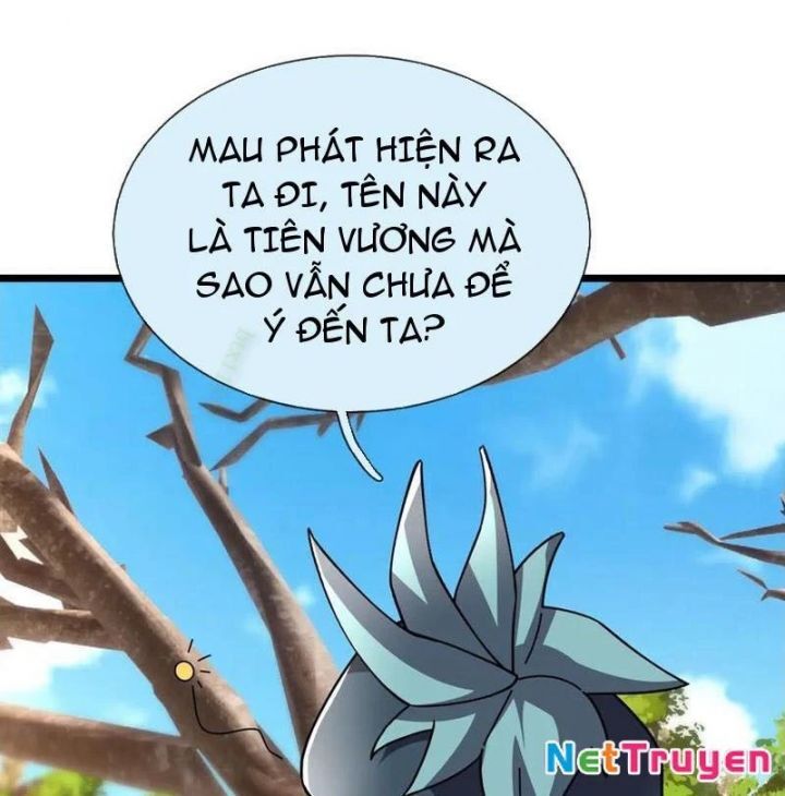 Ngủ Say Vạn Cổ: Xuất Thế Quét Ngang Chư Thiên Chap 99 - Next Chap 100