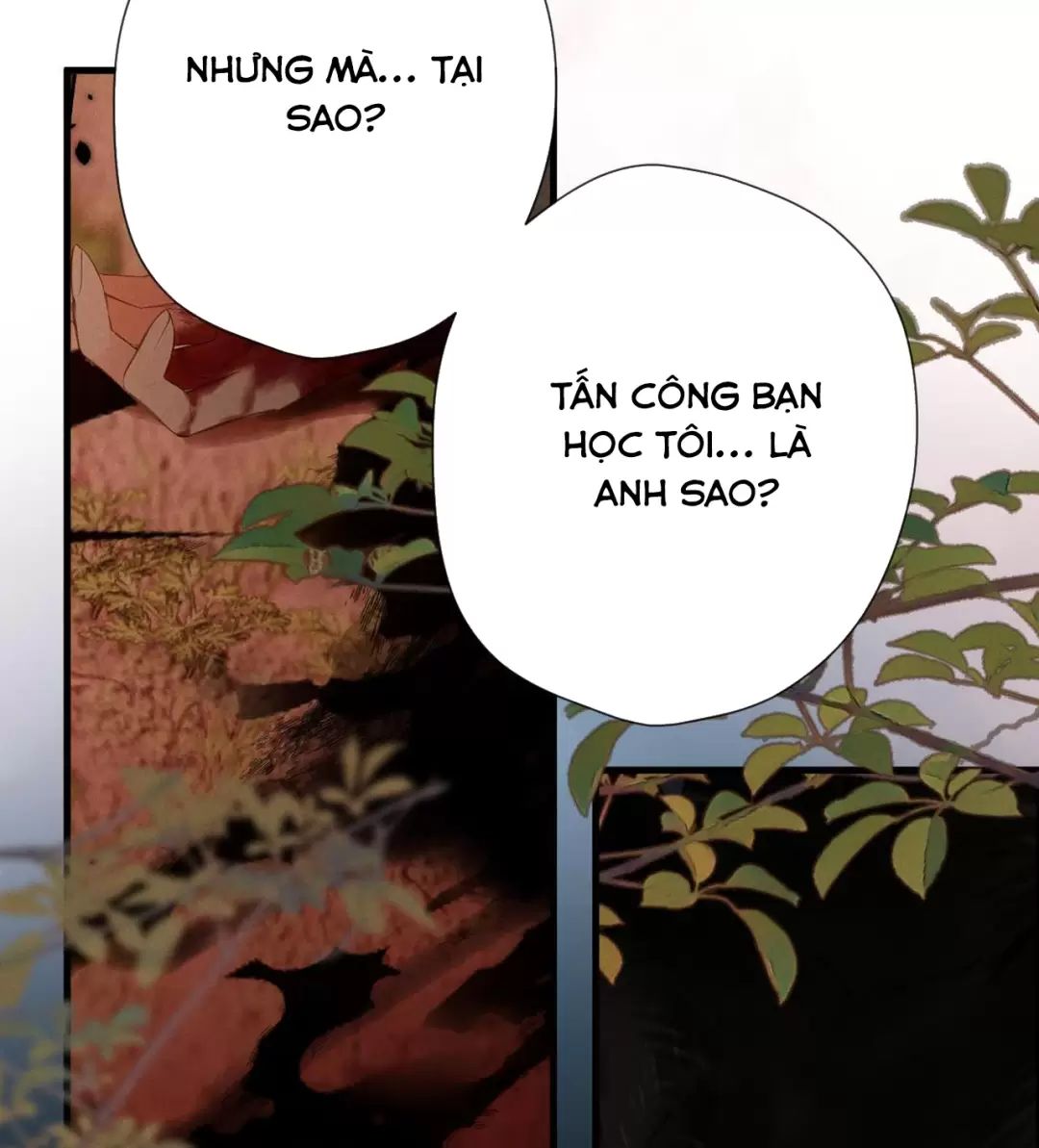 Ngược Dòng Mùa Xuân Chap 4 - Next Chap 5
