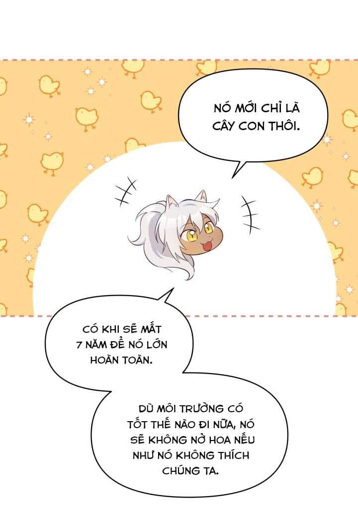 Người Bảo Hộ Của Bạo Quân Là Ma Nữ Tàn Độc Chap 15 - Next Chap 16